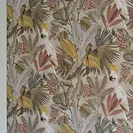 Apartamento Dandelion *