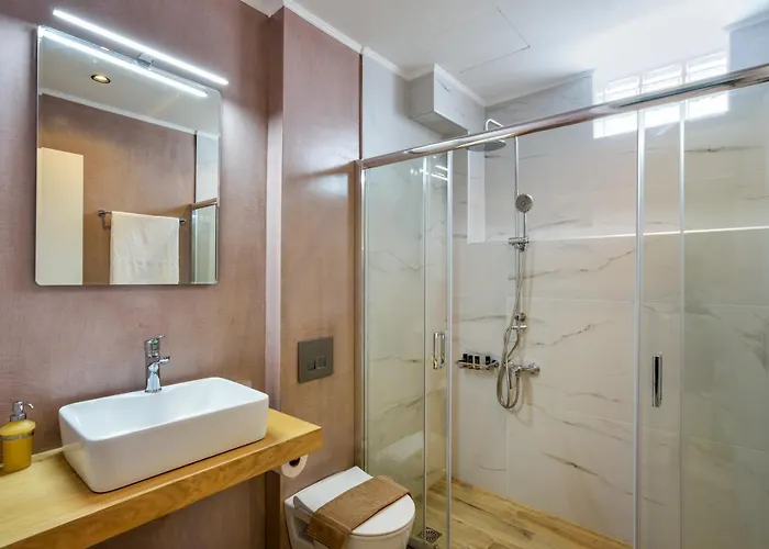 Dandelion Chania (Crete)