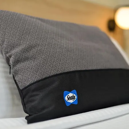 Dandelion * Chania (Crete)